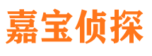 宛城侦探公司